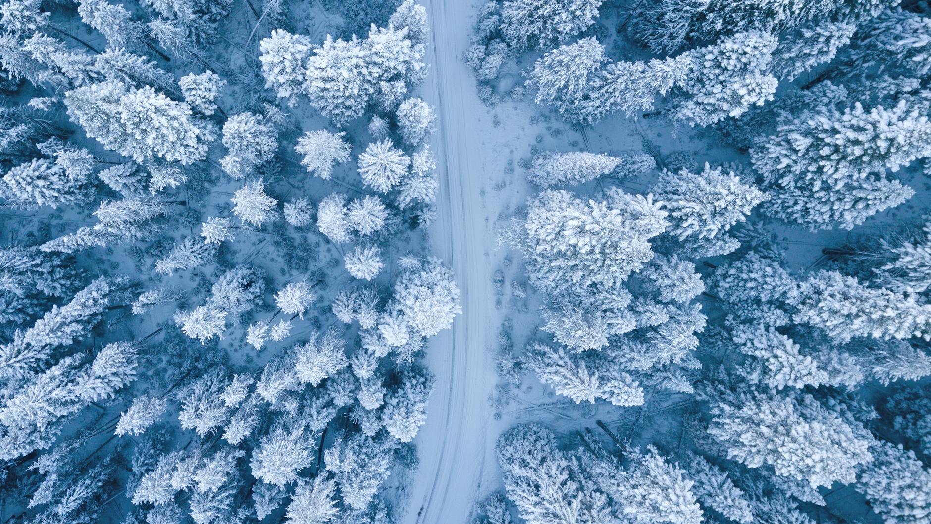 Top 5 States to Visit During Winter