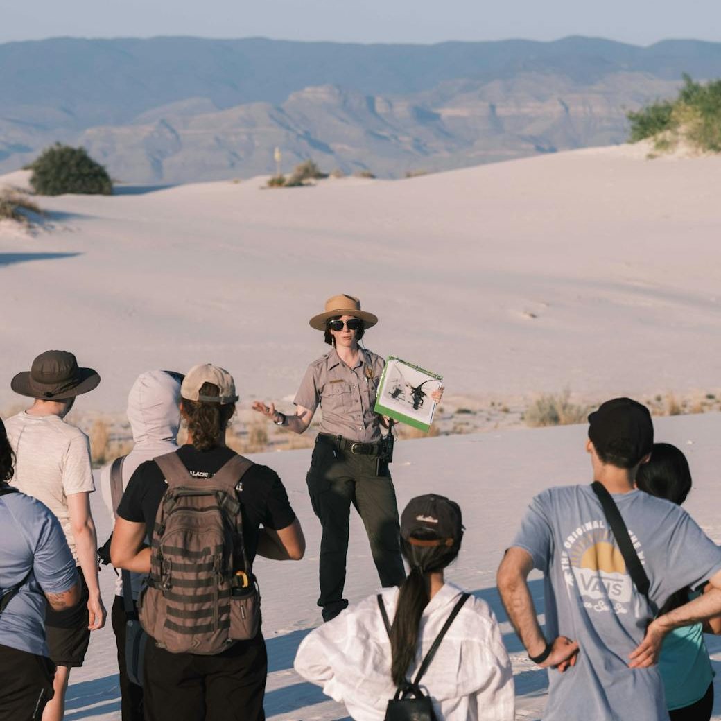 Your Go-To Guides for Dream Vacations