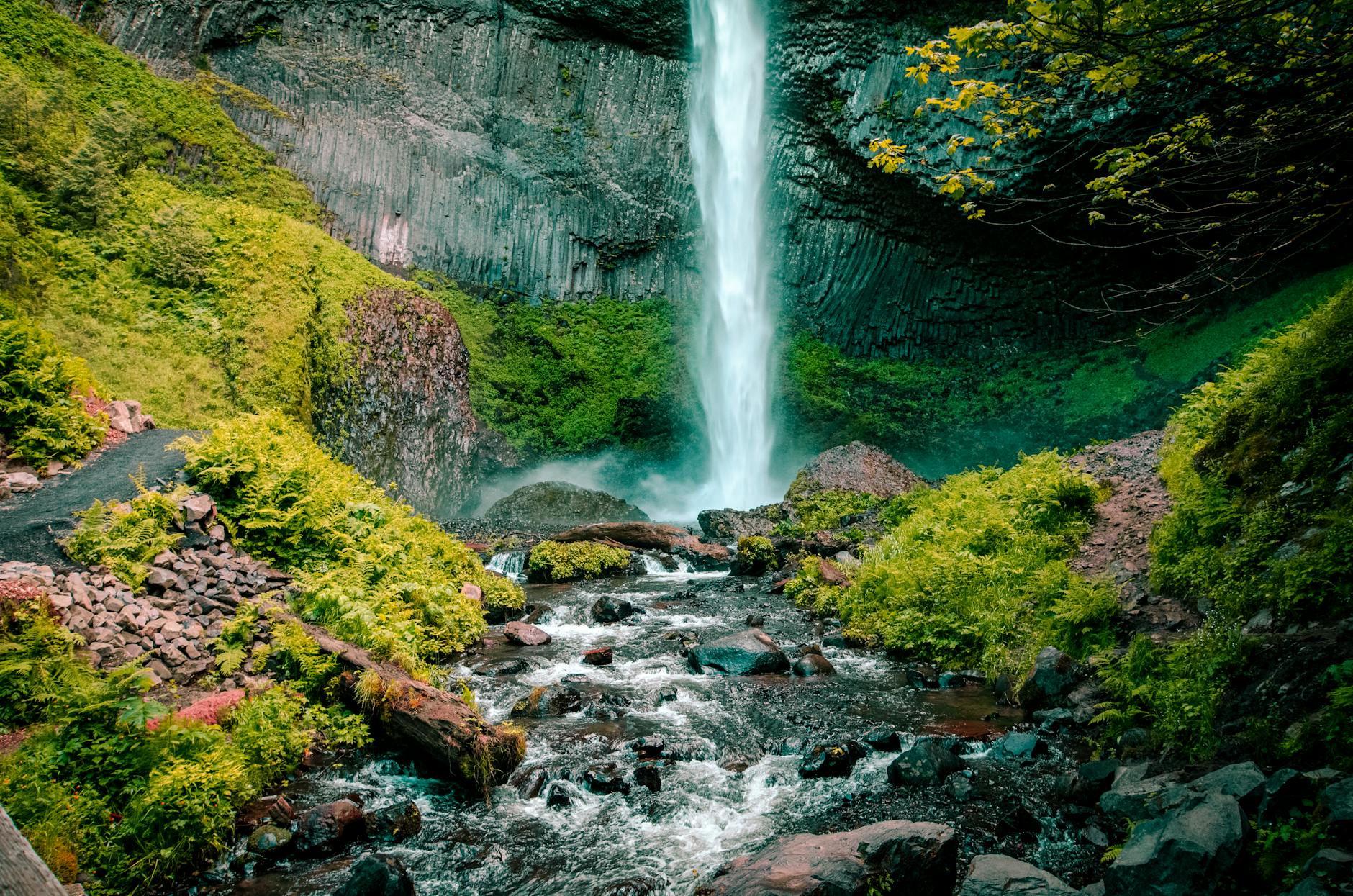 Top 5 National Parks to Visit in the U.S.